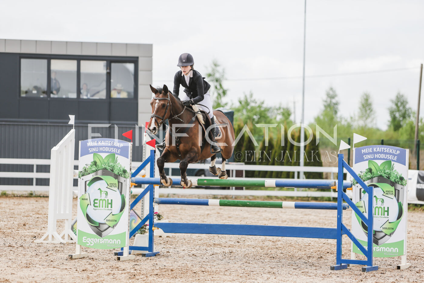 Gramina_Kevad_2026_hc125-130_031