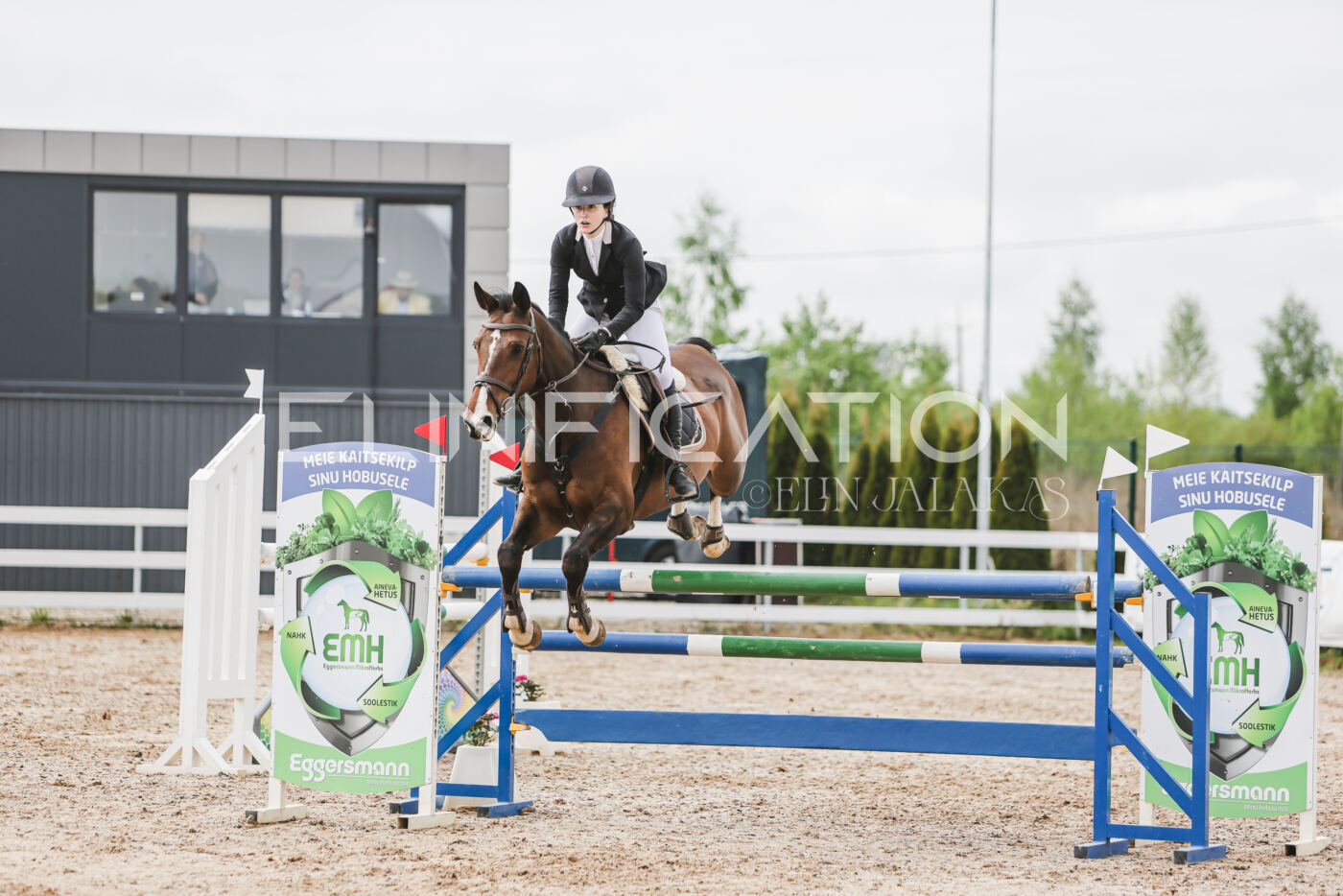 Gramina_Kevad_2026_hc125-130_032