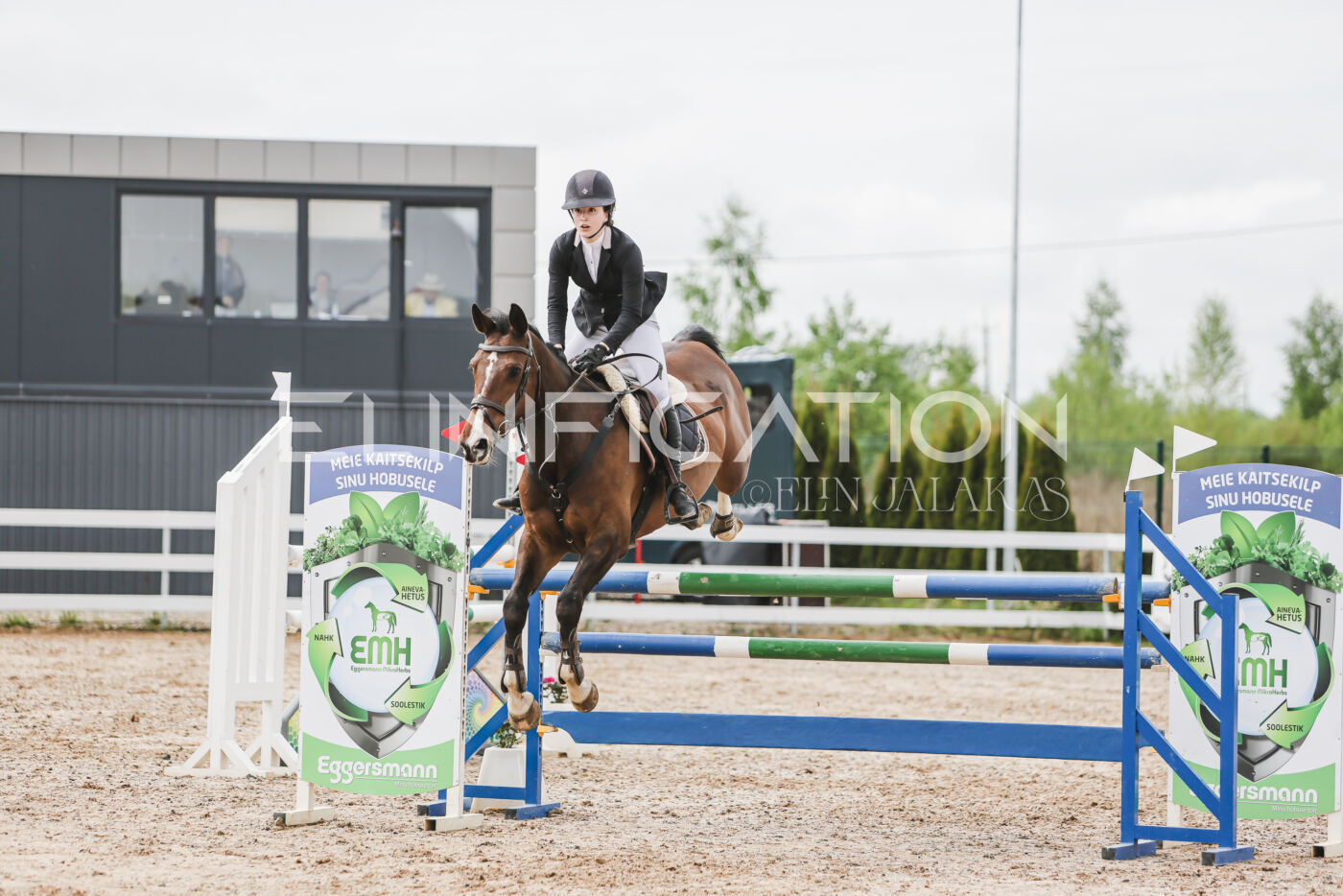 Gramina_Kevad_2026_hc125-130_033