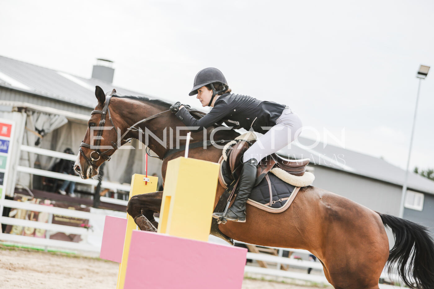 Gramina_Kevad_2026_hc125-130_034