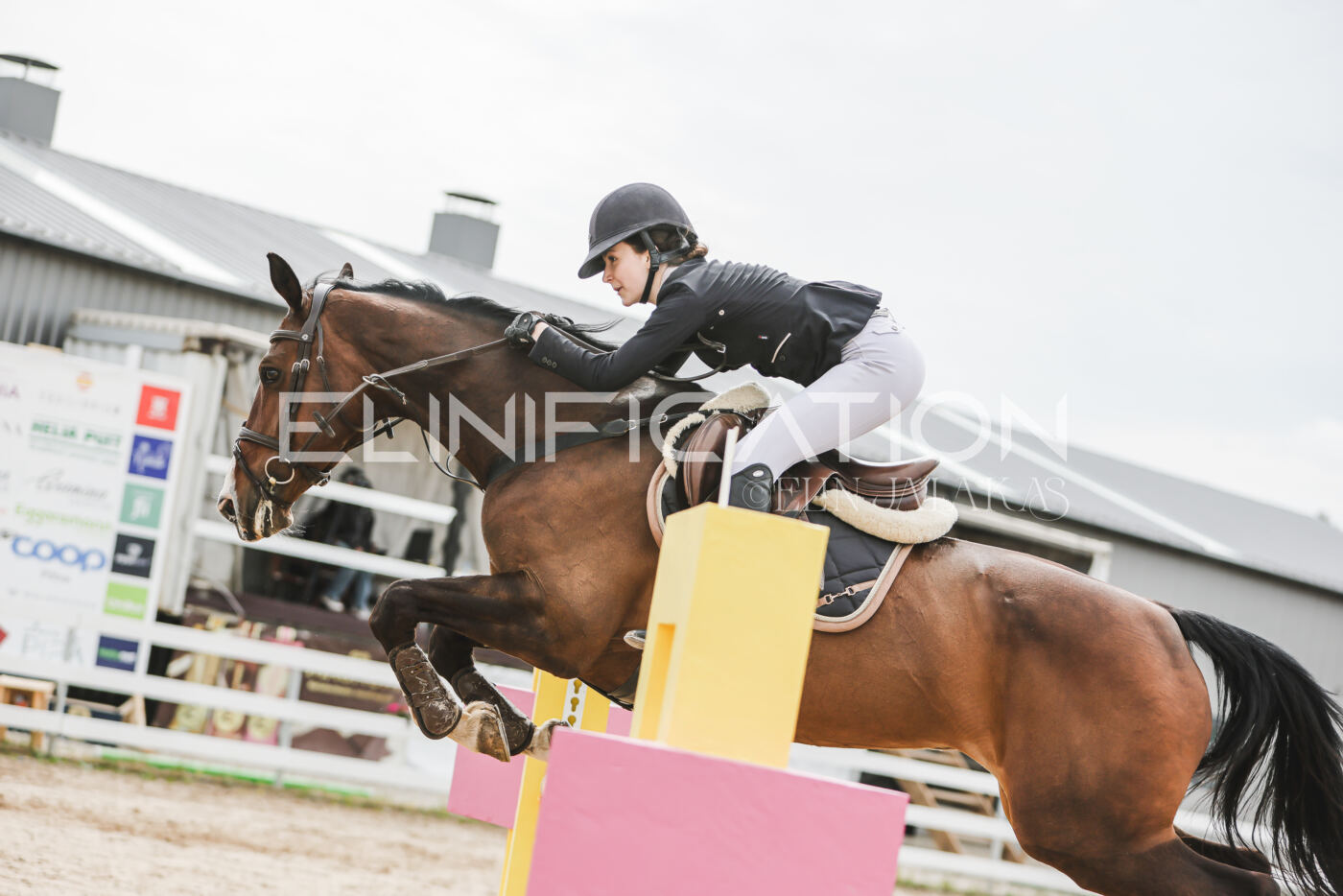 Gramina_Kevad_2026_hc125-130_035