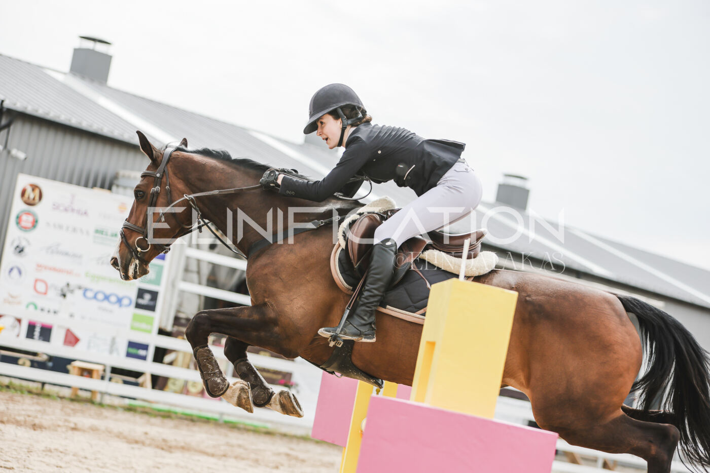 Gramina_Kevad_2026_hc125-130_036