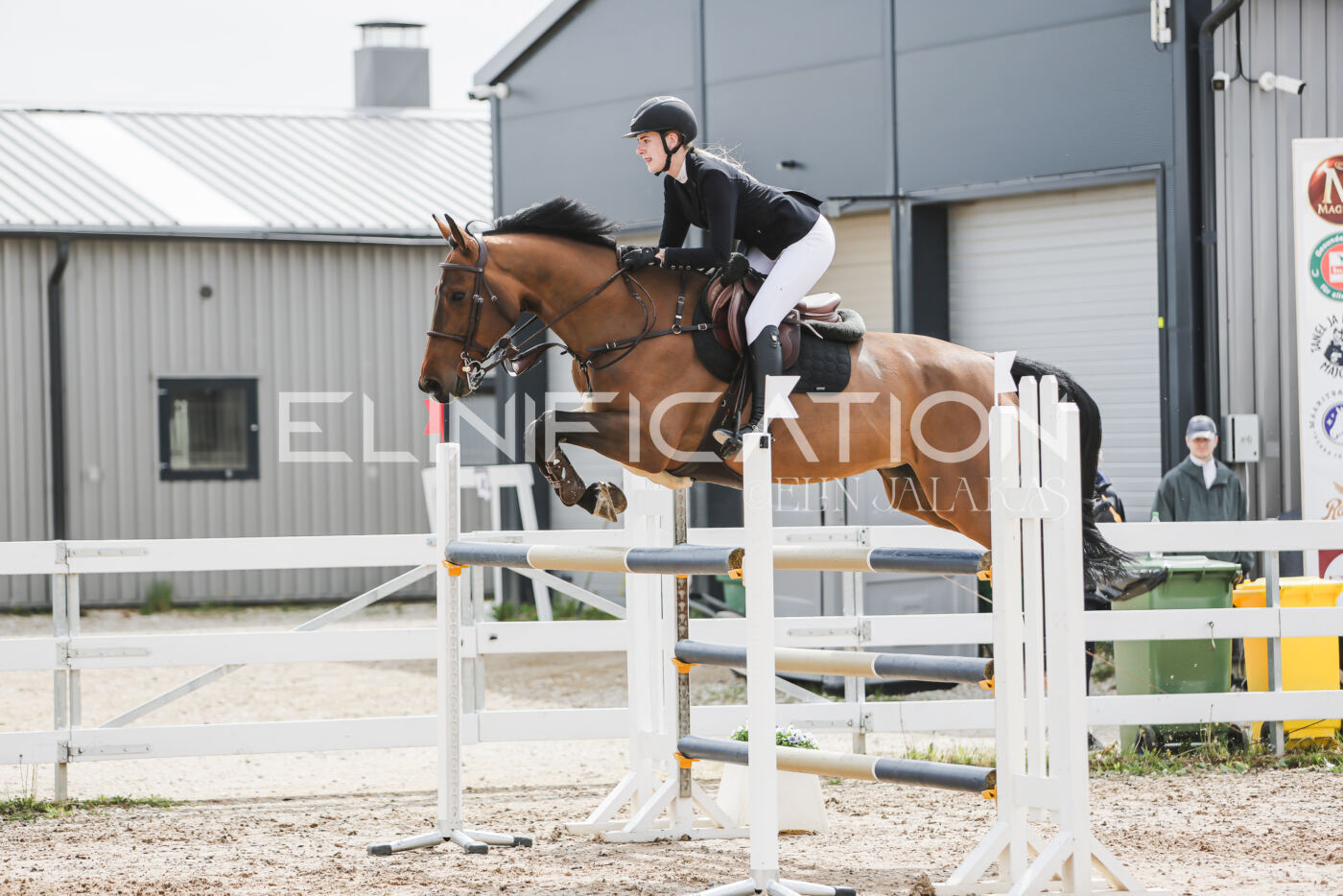 Gramina_Kevad_2026_hc125-130_043