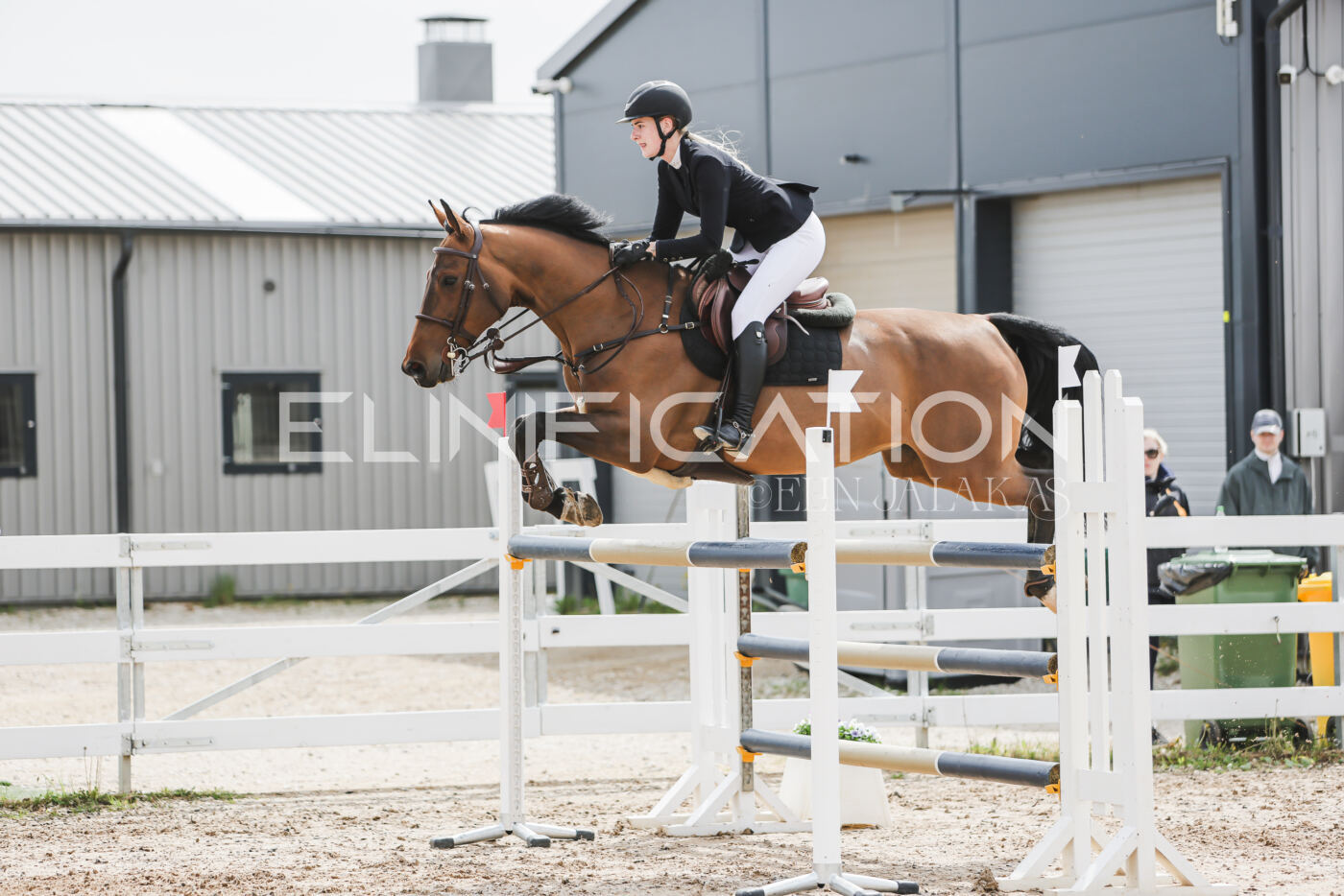 Gramina_Kevad_2026_hc125-130_044