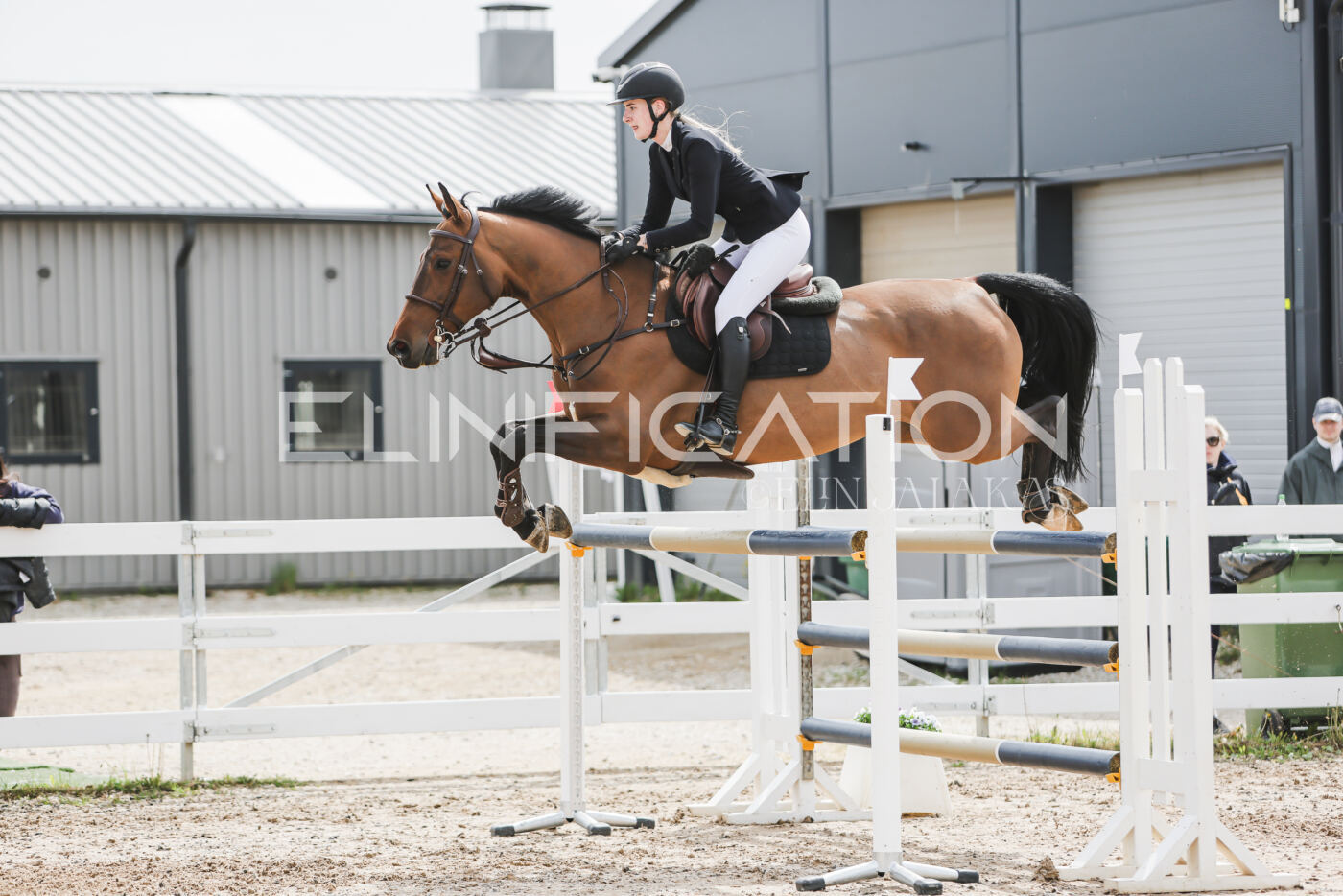 Gramina_Kevad_2026_hc125-130_045