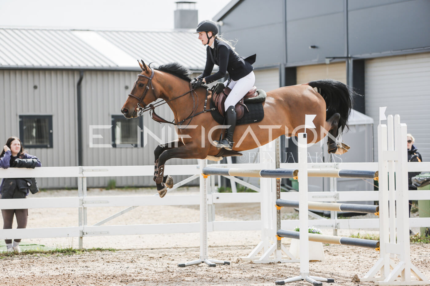 Gramina_Kevad_2026_hc125-130_046