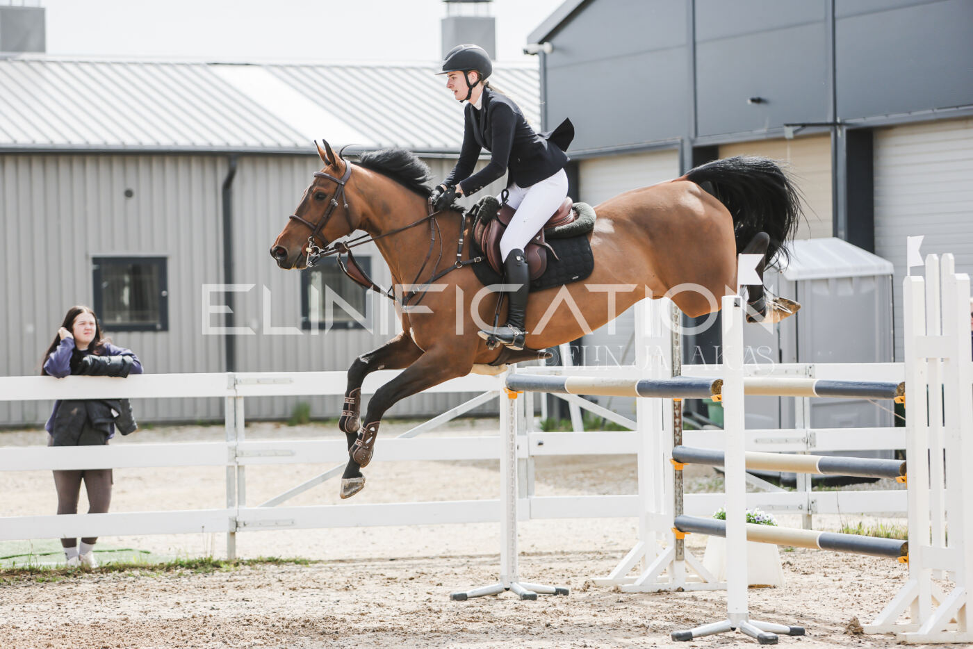 Gramina_Kevad_2026_hc125-130_047