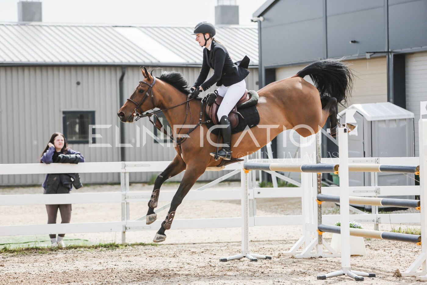 Gramina_Kevad_2026_hc125-130_048