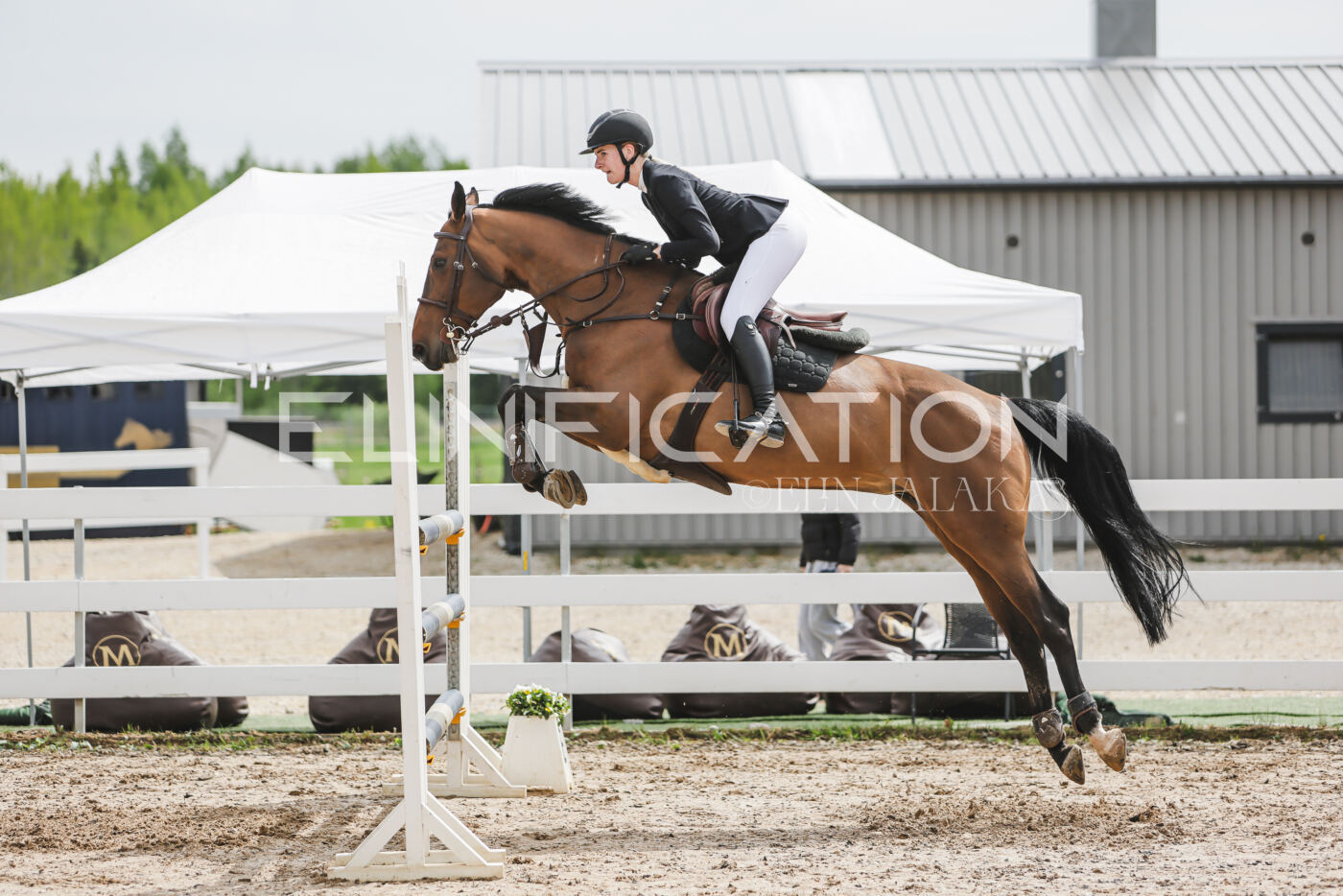 Gramina_Kevad_2026_hc125-130_049