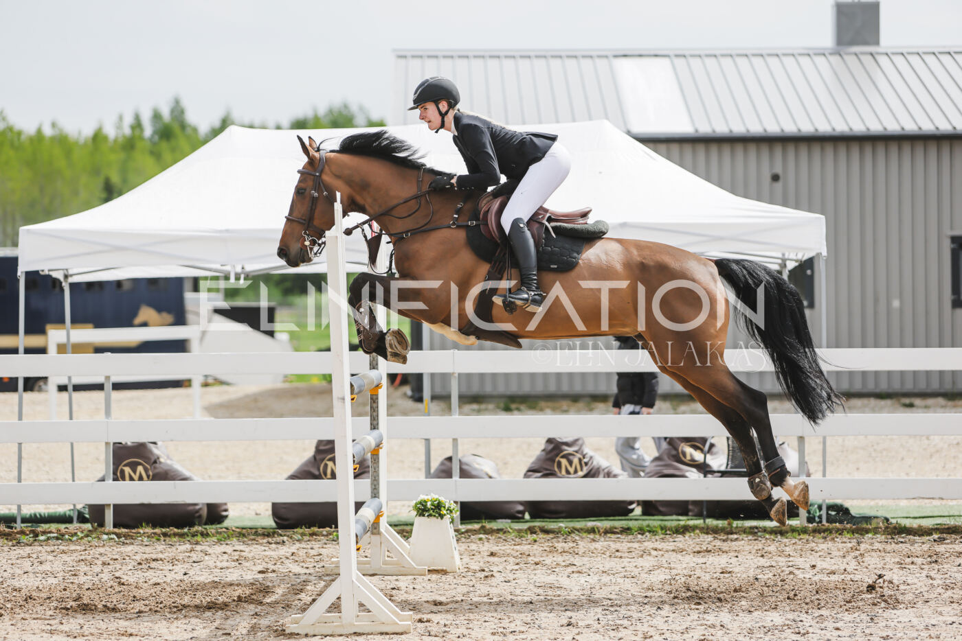 Gramina_Kevad_2026_hc125-130_050