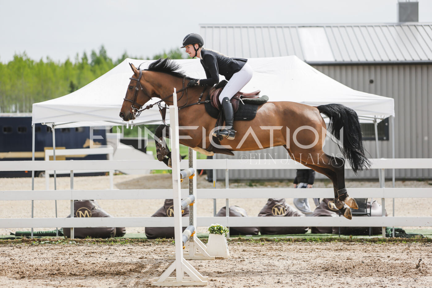 Gramina_Kevad_2026_hc125-130_051