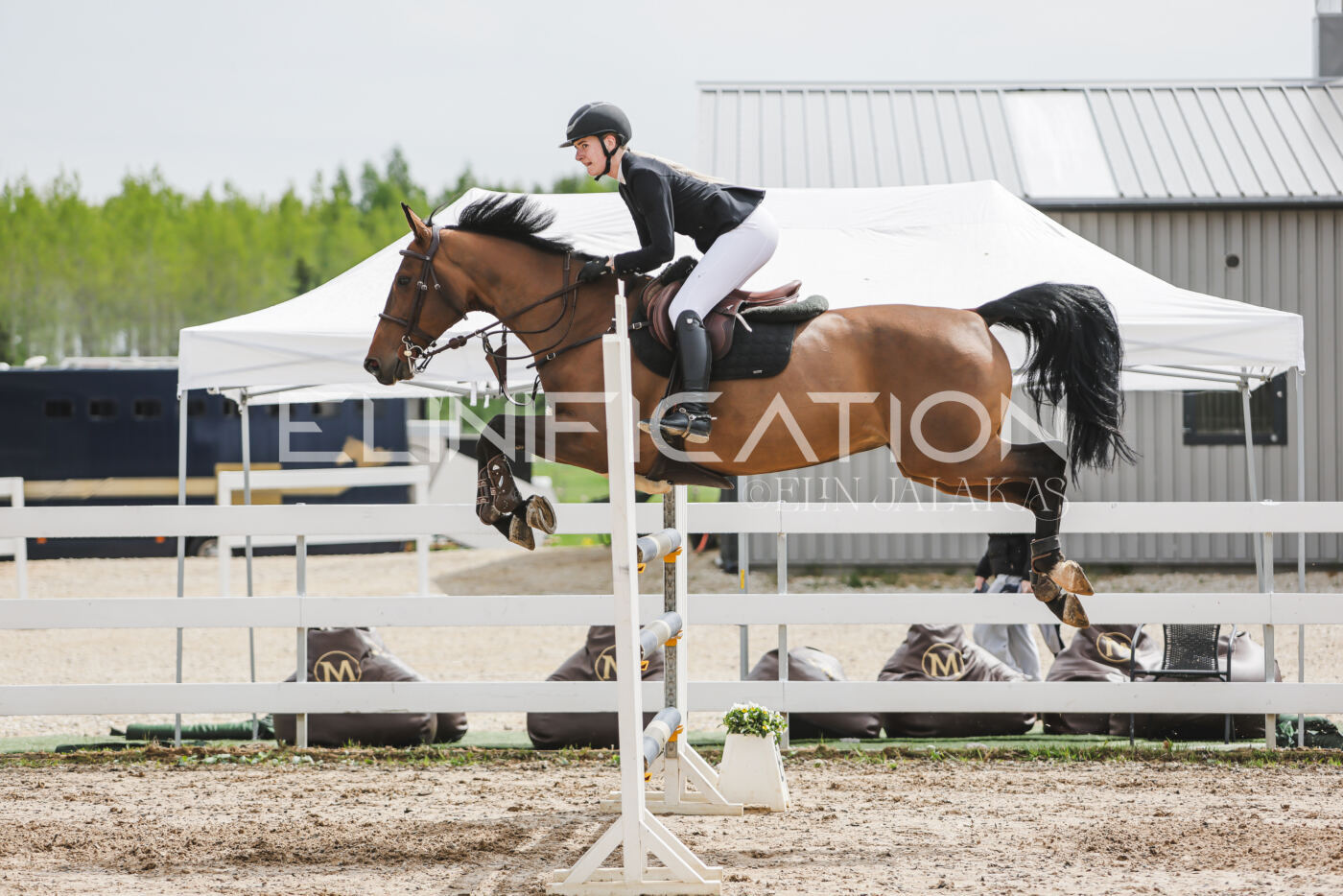 Gramina_Kevad_2026_hc125-130_052