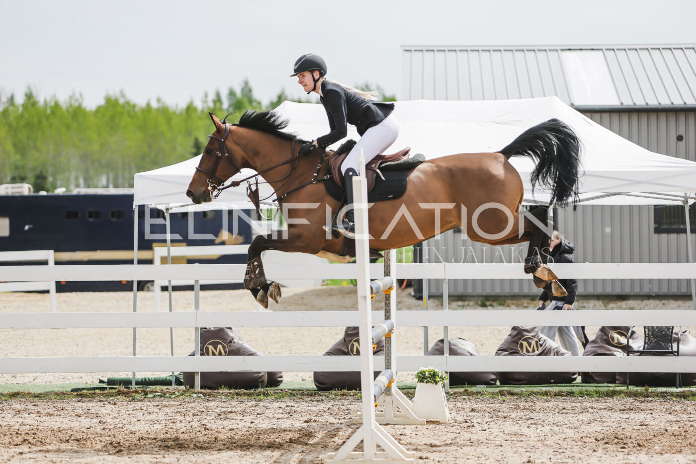 Gramina_Kevad_2026_hc125-130_053