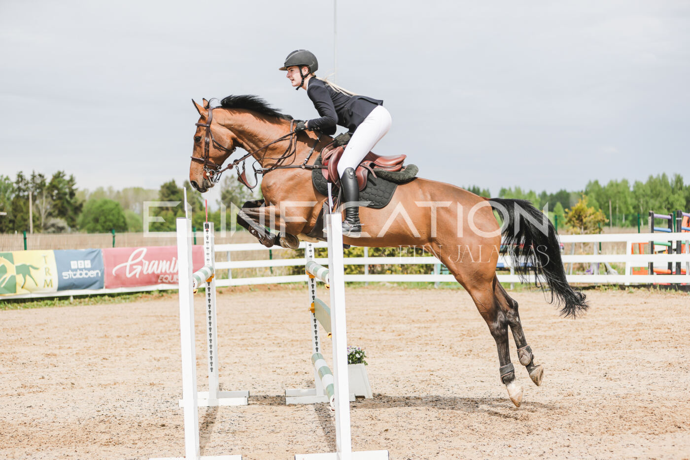 Gramina_Kevad_2026_hc125-130_055