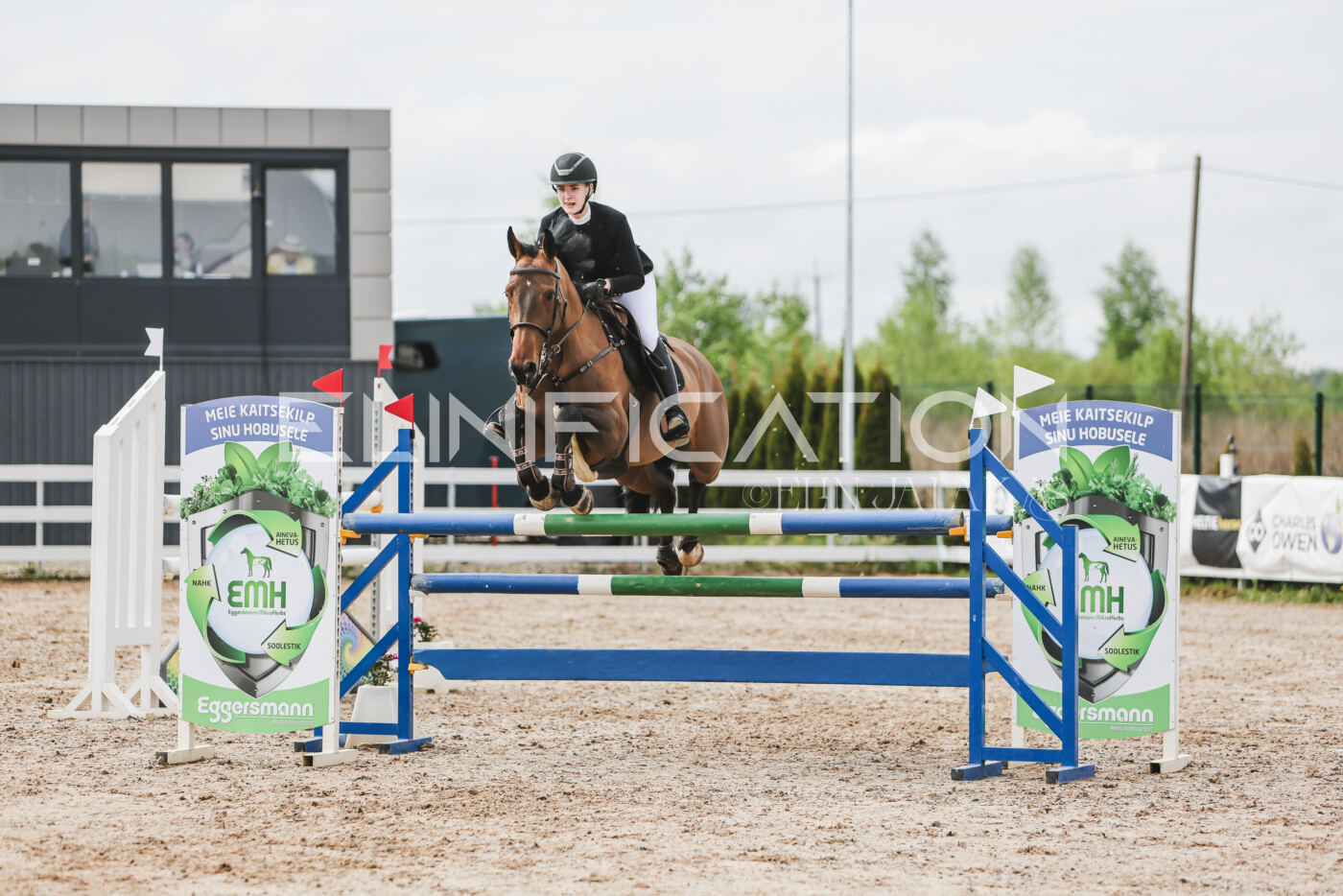 Gramina_Kevad_2026_hc125-130_062