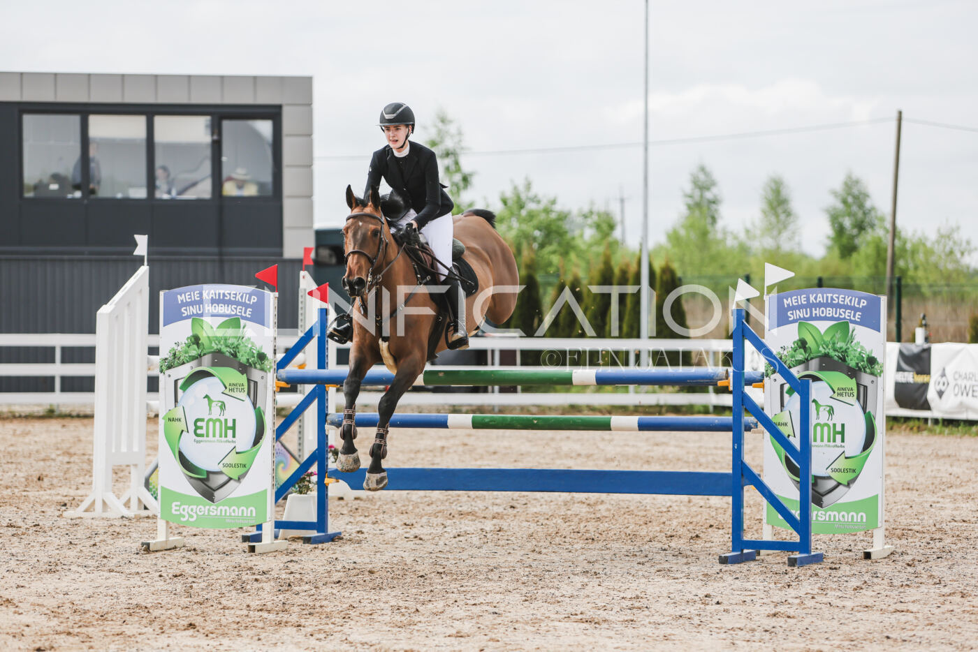 Gramina_Kevad_2026_hc125-130_065