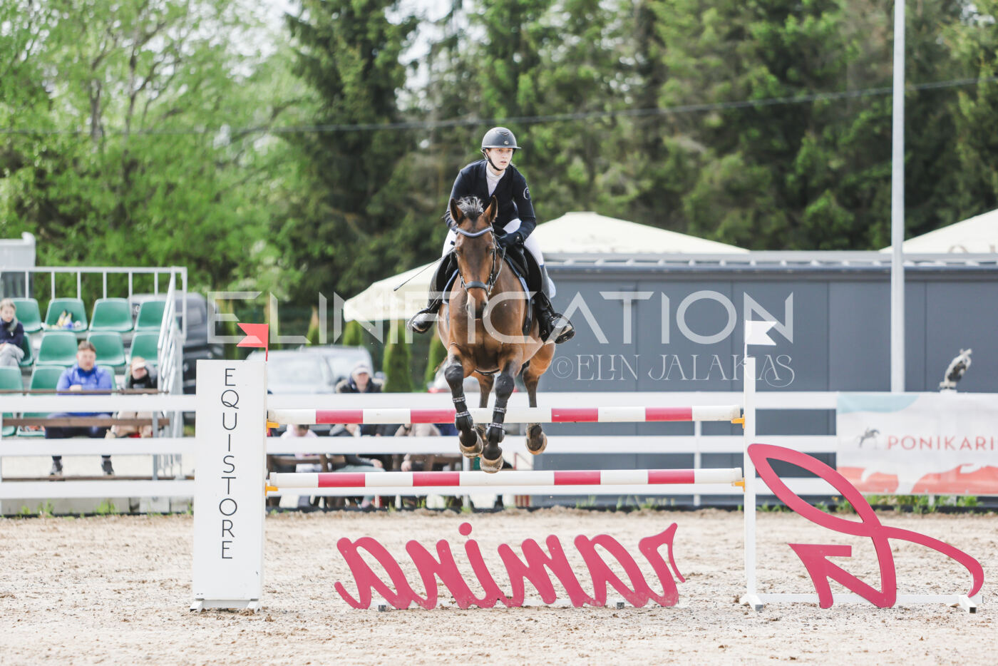 Gramina_Kevad_2026_hc125-130_069