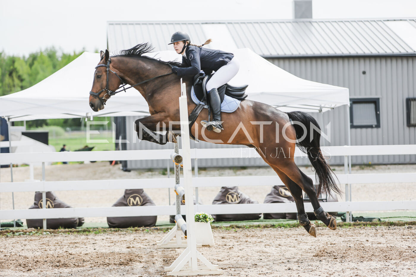 Gramina_Kevad_2026_hc125-130_082