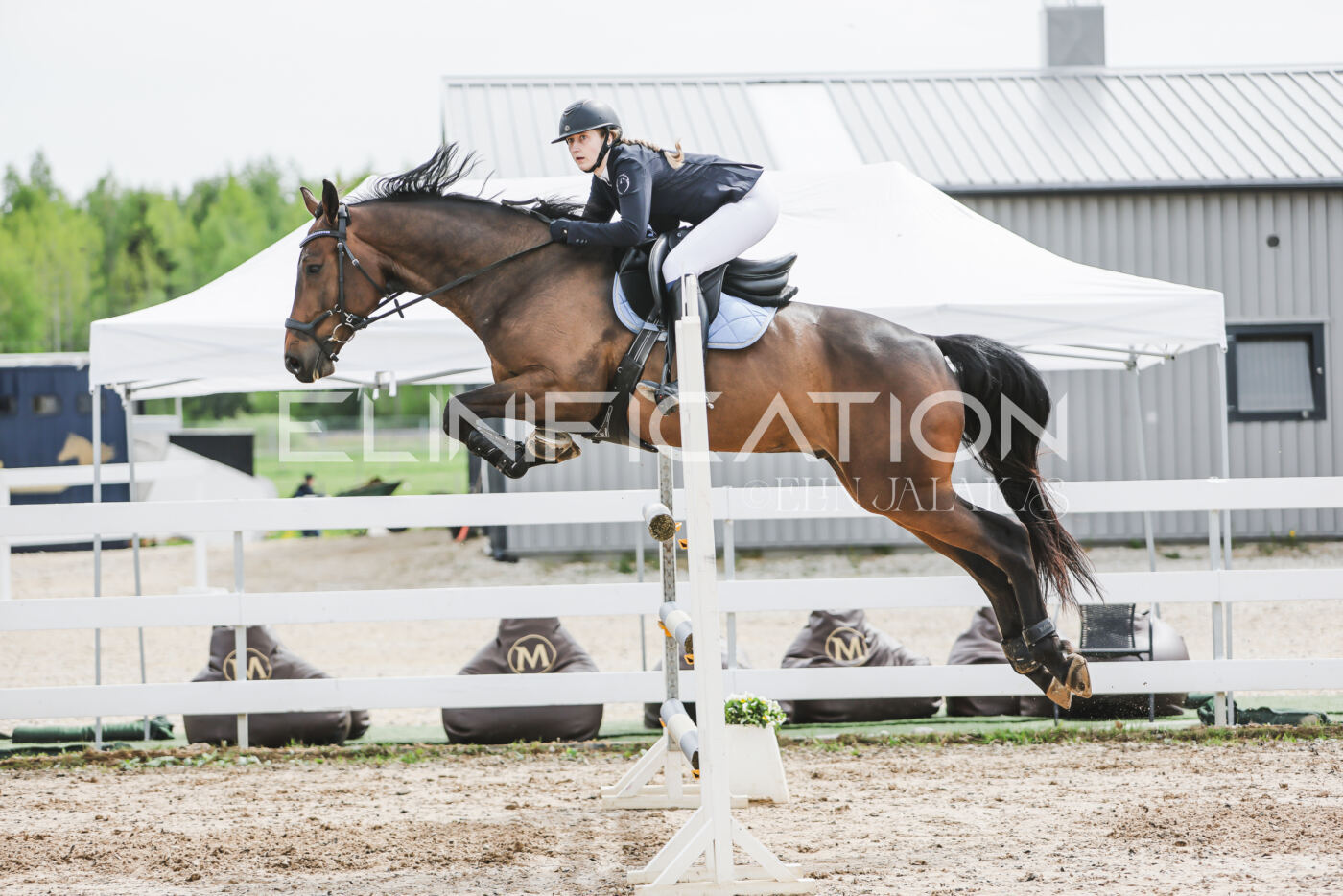 Gramina_Kevad_2026_hc125-130_083