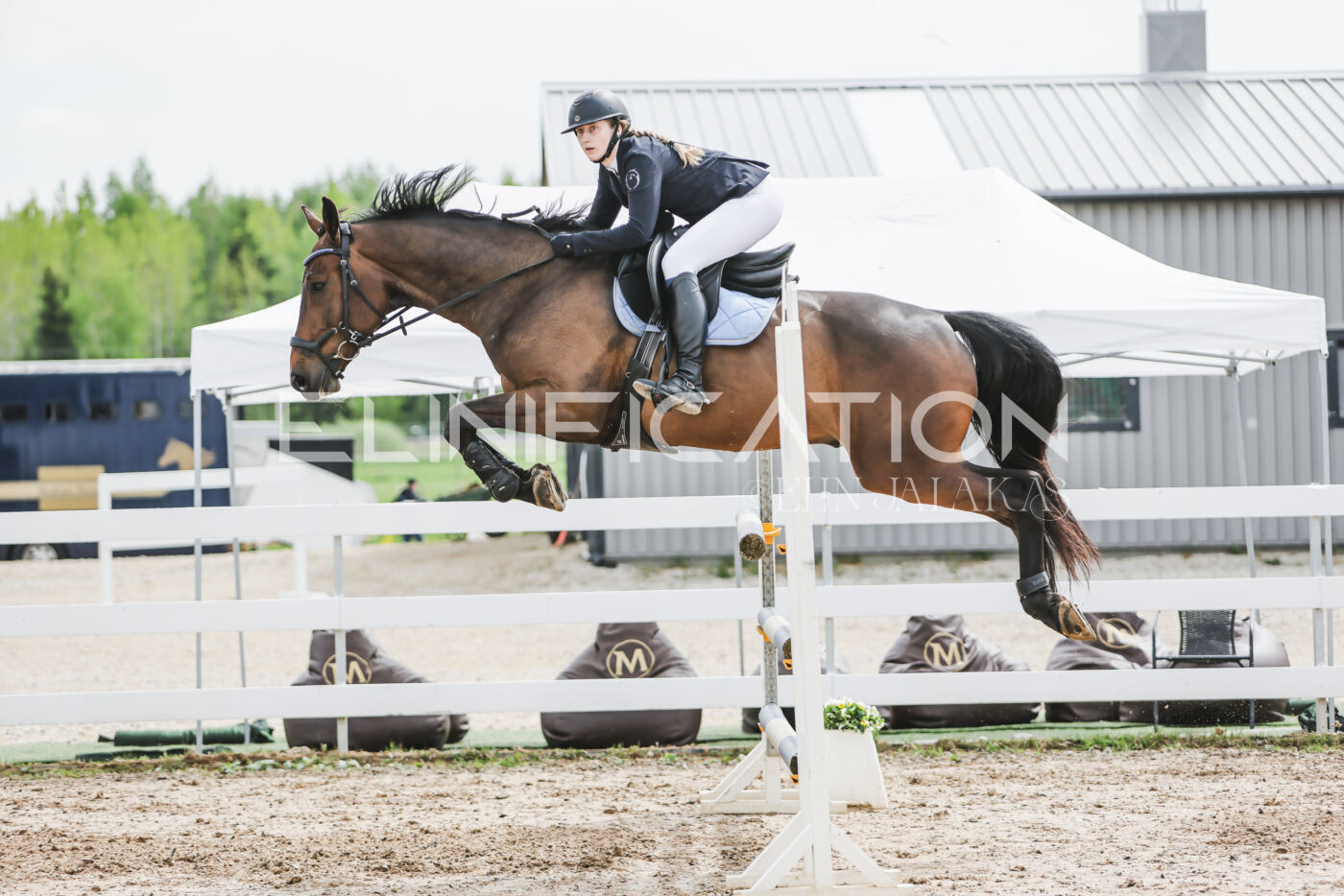 Gramina_Kevad_2026_hc125-130_084