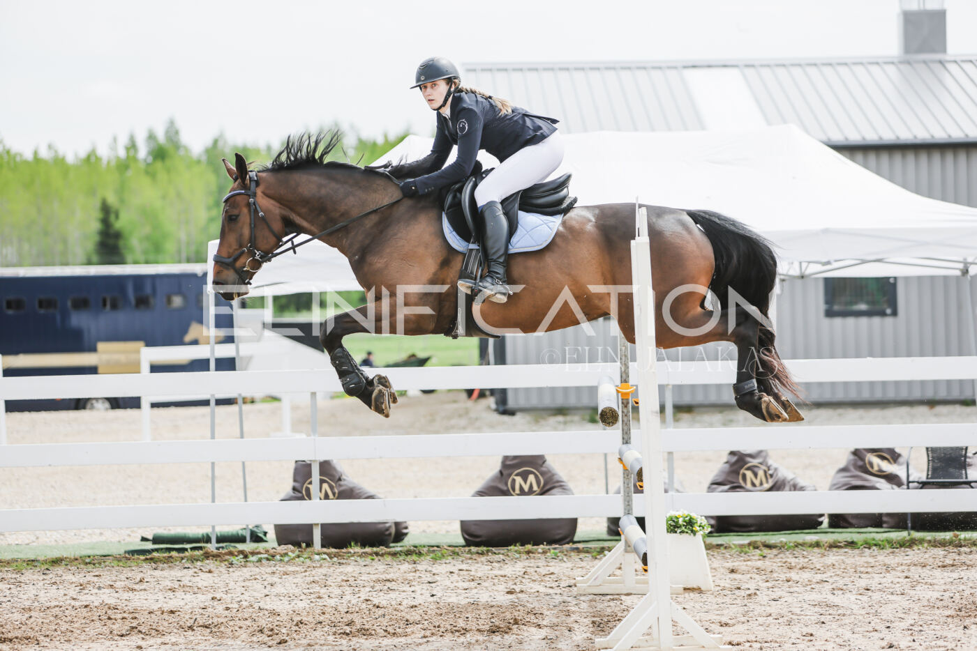 Gramina_Kevad_2026_hc125-130_085