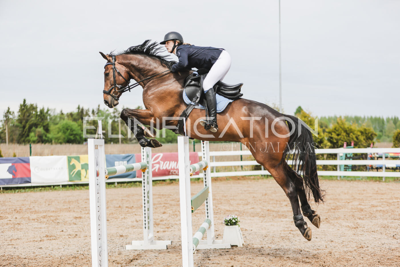 Gramina_Kevad_2026_hc125-130_086