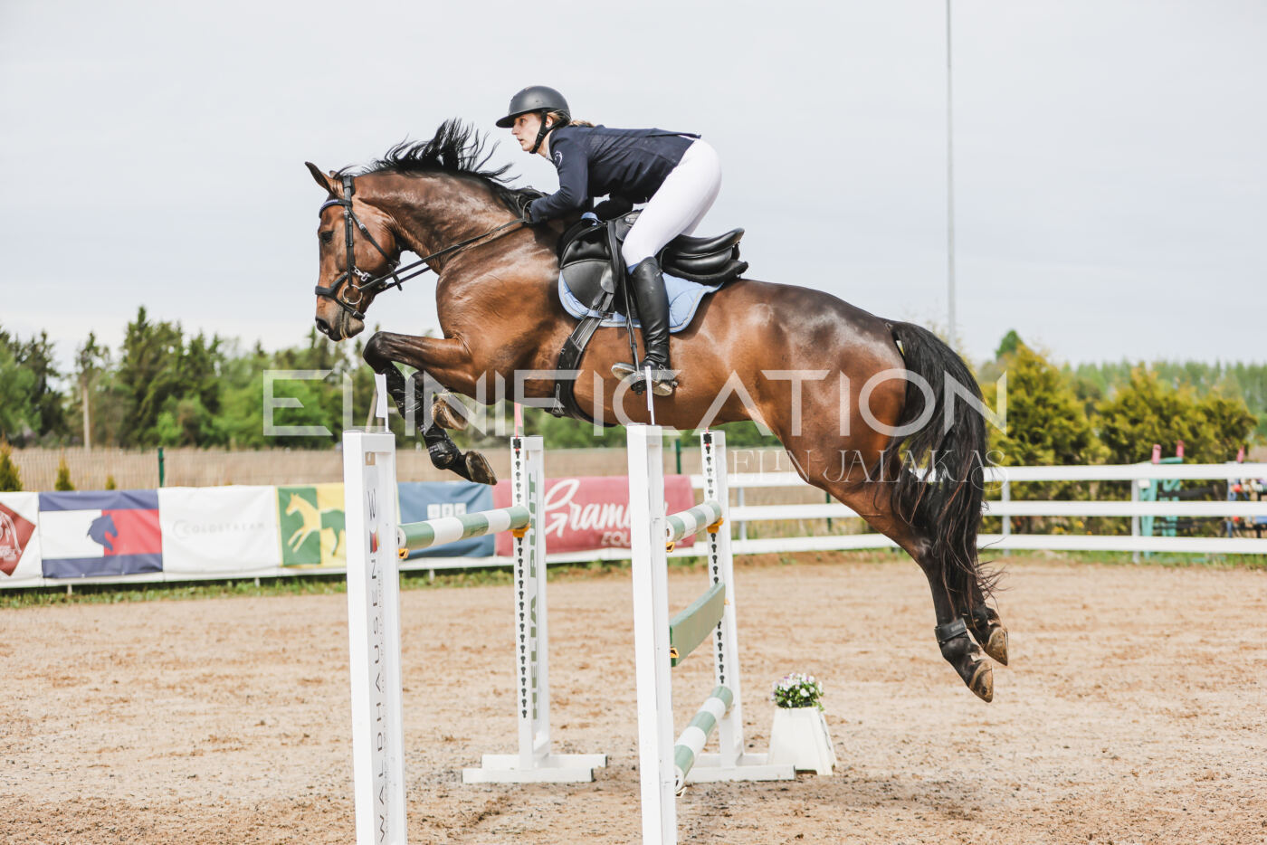 Gramina_Kevad_2026_hc125-130_087