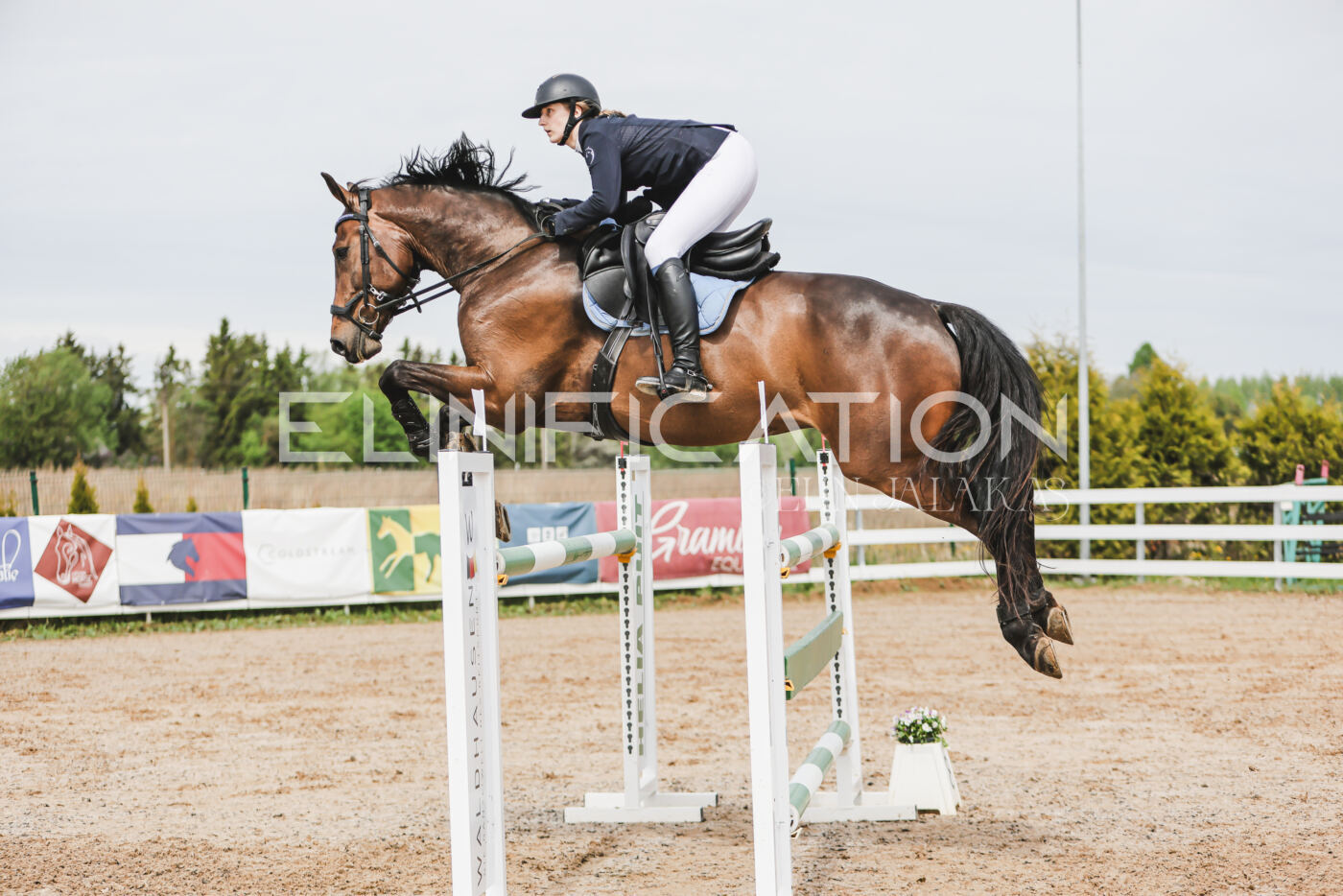 Gramina_Kevad_2026_hc125-130_088