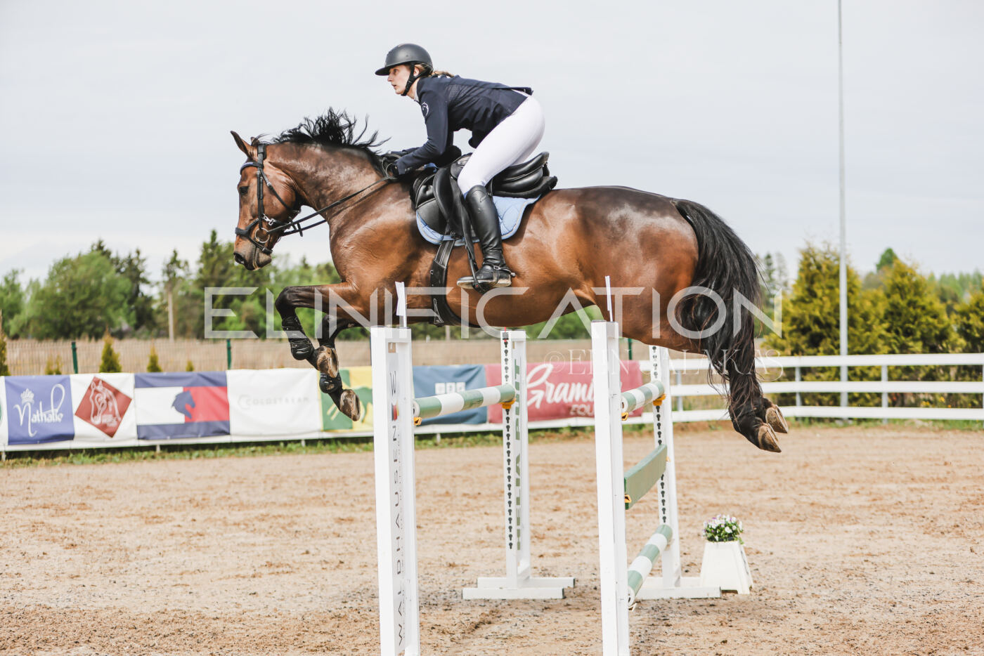 Gramina_Kevad_2026_hc125-130_089