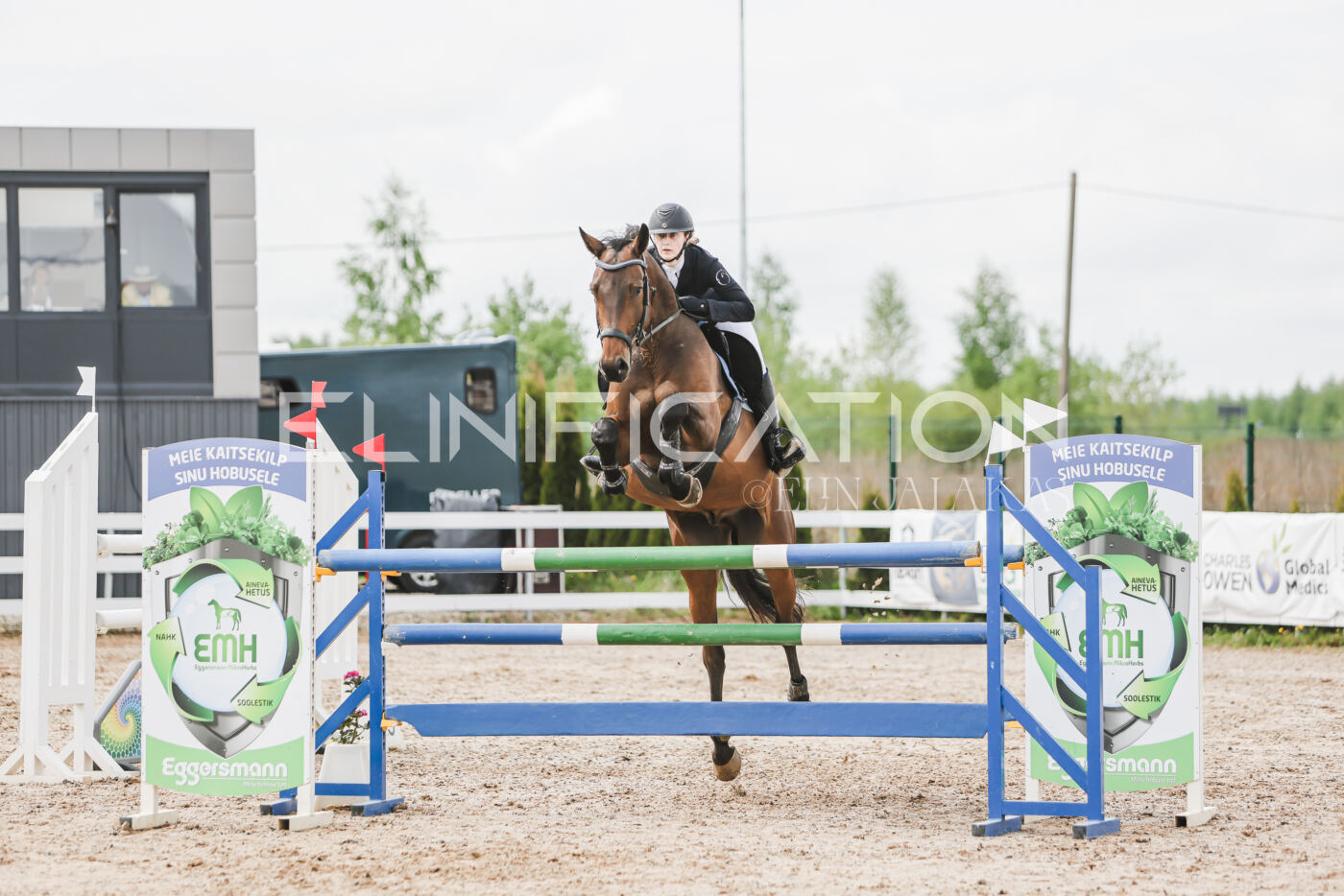 Gramina_Kevad_2026_hc125-130_090