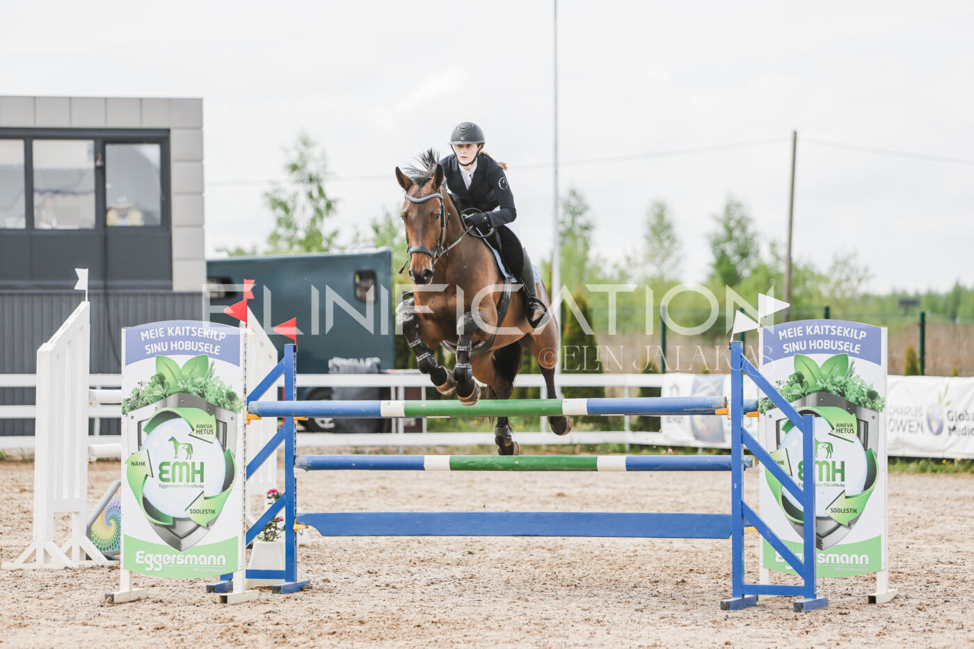 Gramina_Kevad_2026_hc125-130_093