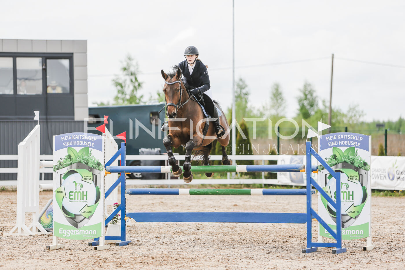 Gramina_Kevad_2026_hc125-130_094