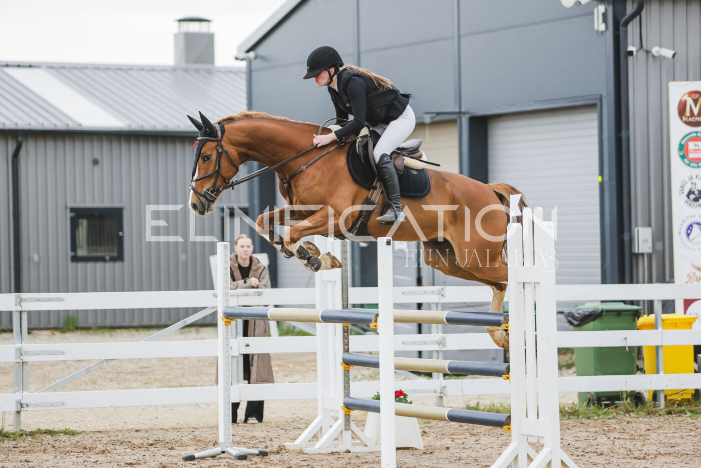 Gramina_Kevad_2026_115_004