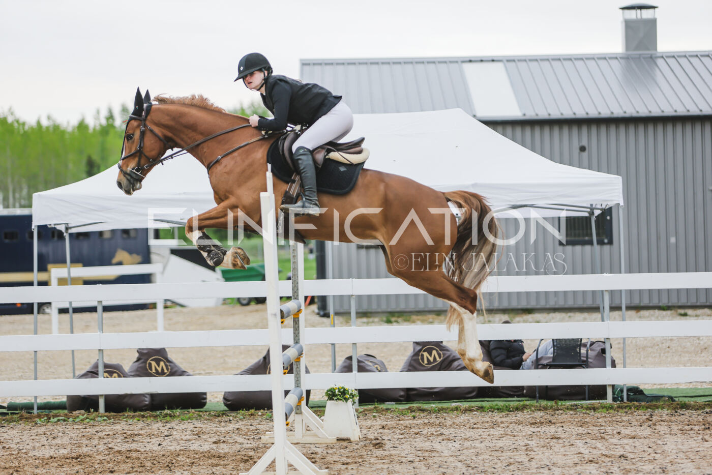 Gramina_Kevad_2026_115_011