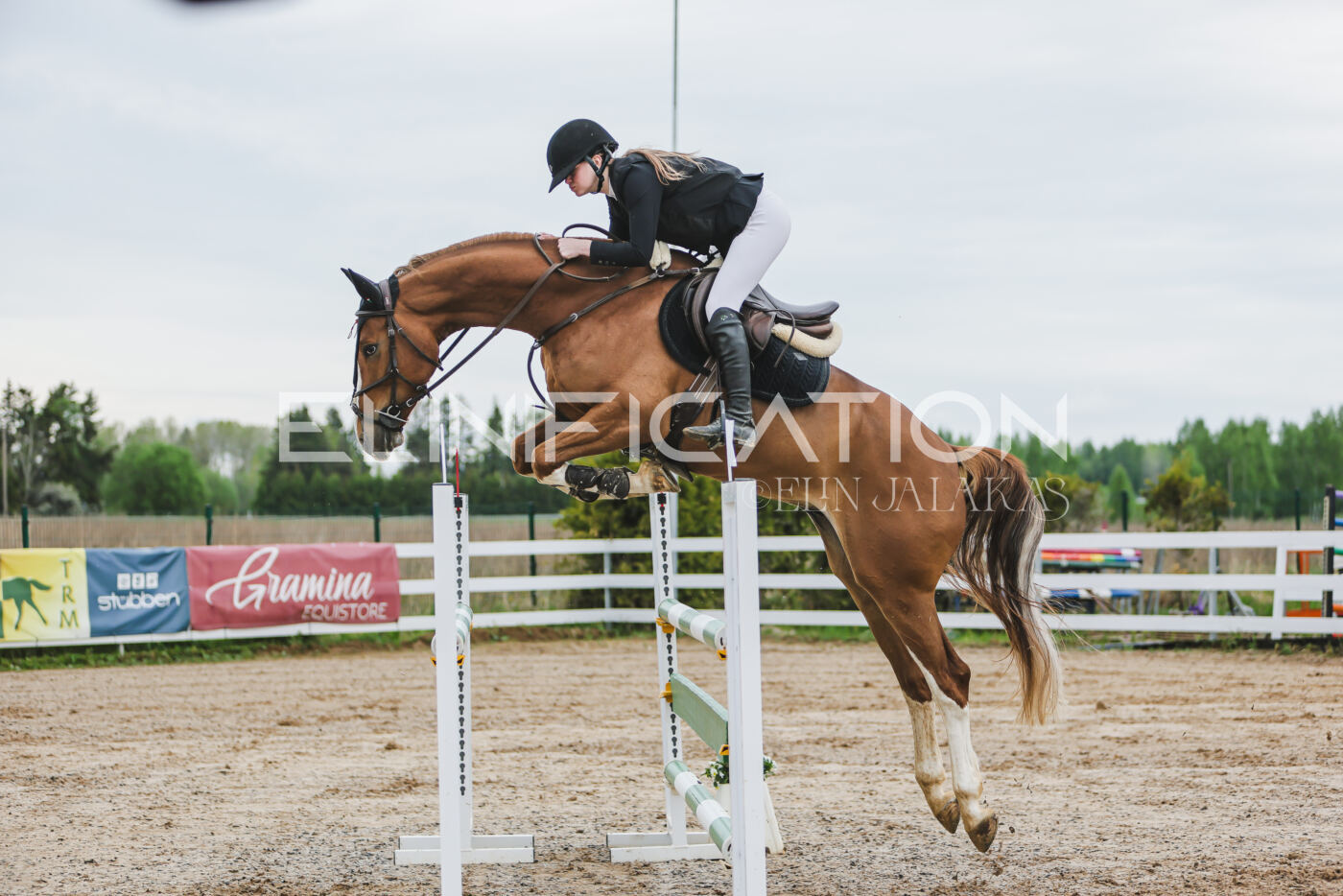 Gramina_Kevad_2026_115_013