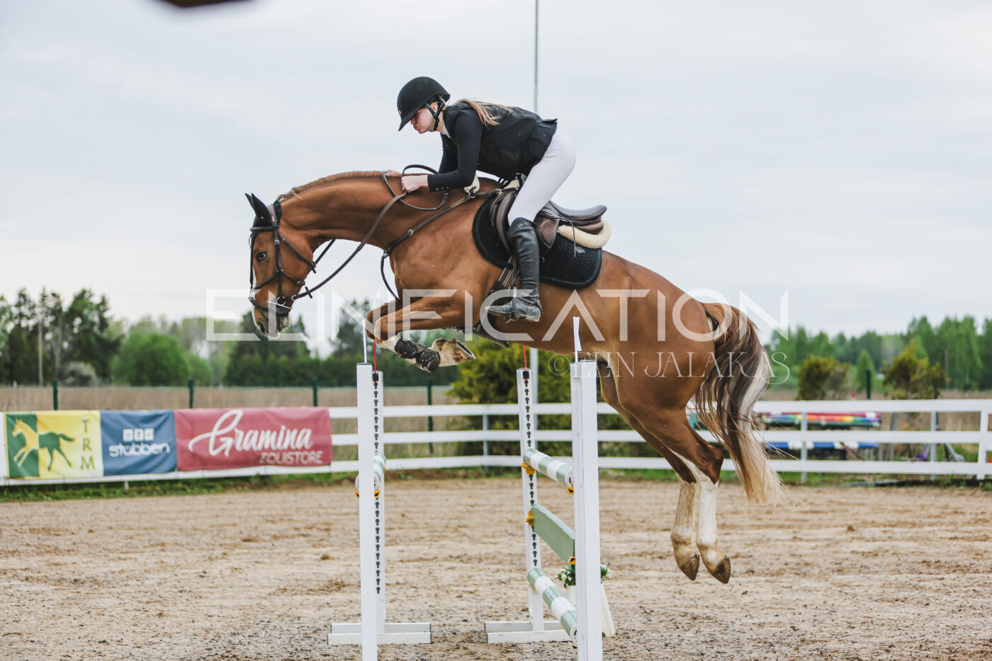 Gramina_Kevad_2026_115_014