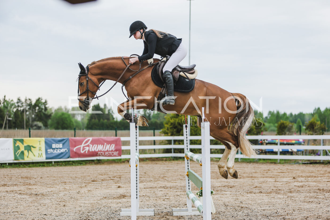 Gramina_Kevad_2026_115_015