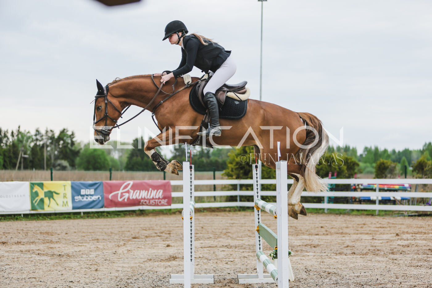 Gramina_Kevad_2026_115_016