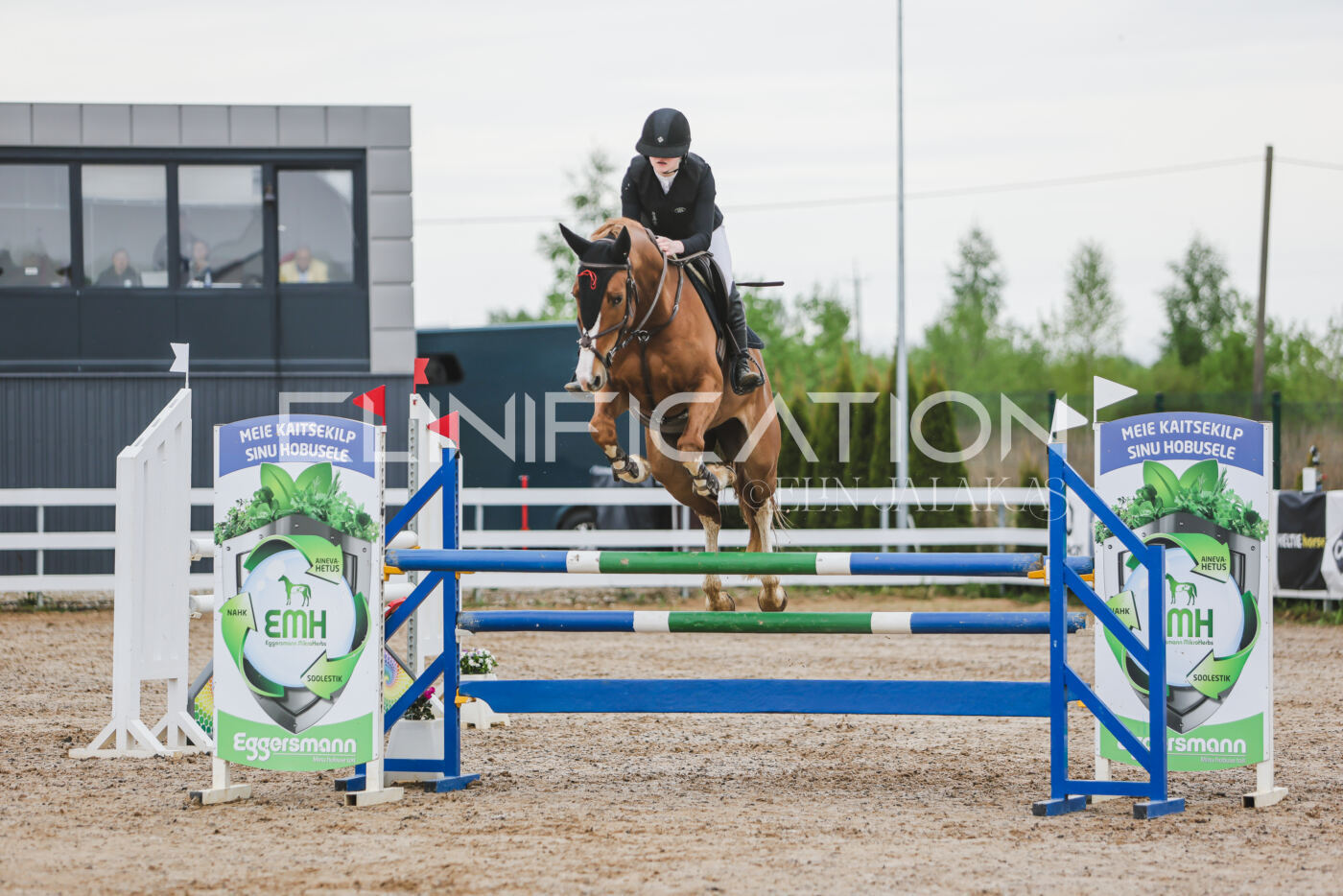 Gramina_Kevad_2026_115_020