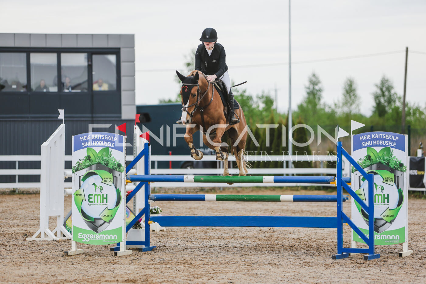 Gramina_Kevad_2026_115_021