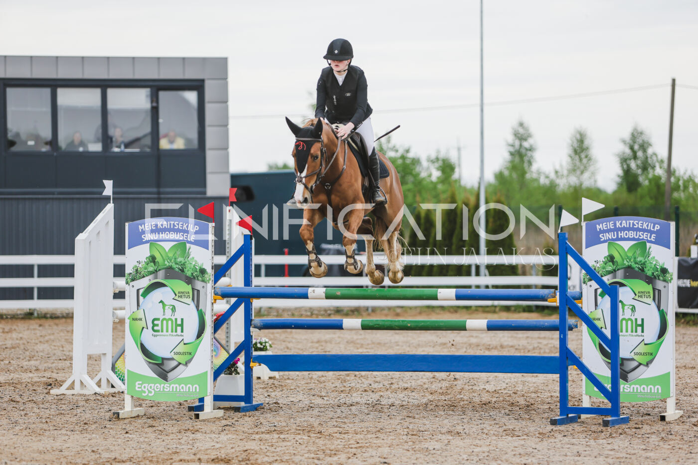Gramina_Kevad_2026_115_022
