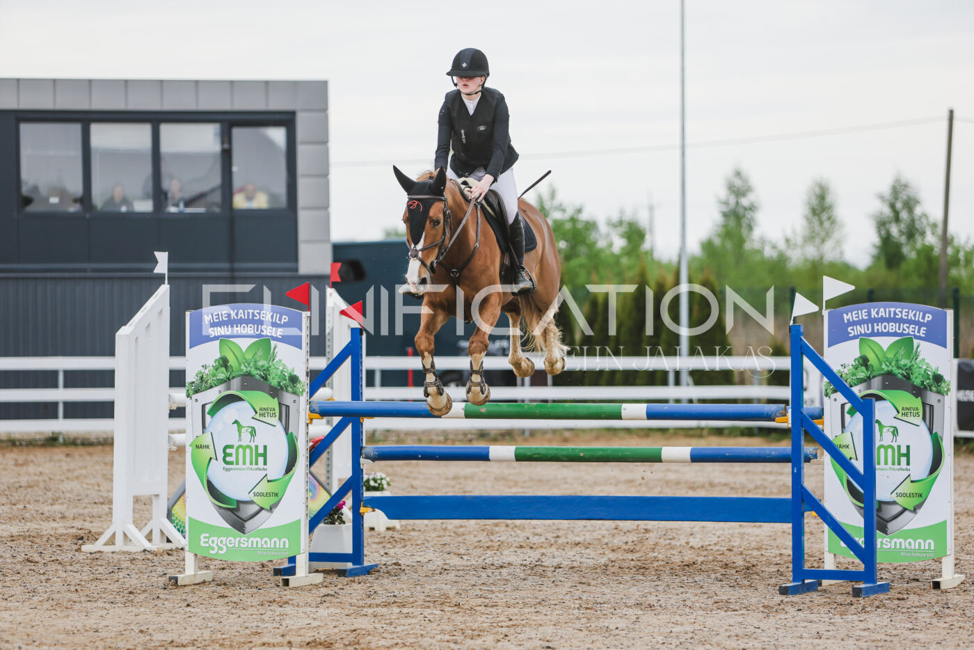 Gramina_Kevad_2026_115_023