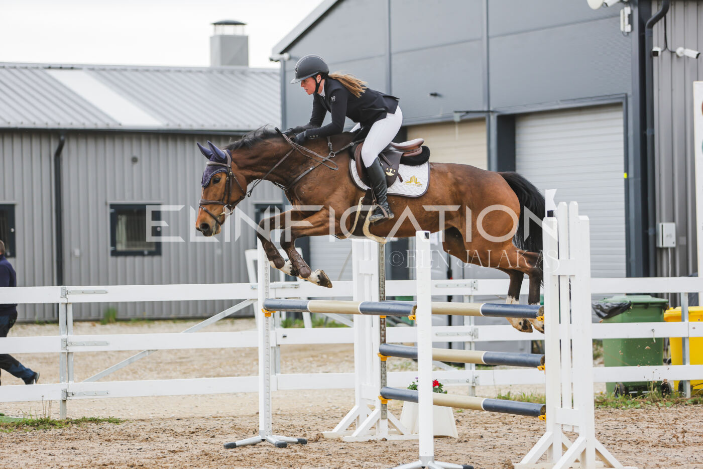 Gramina_Kevad_2026_115_031