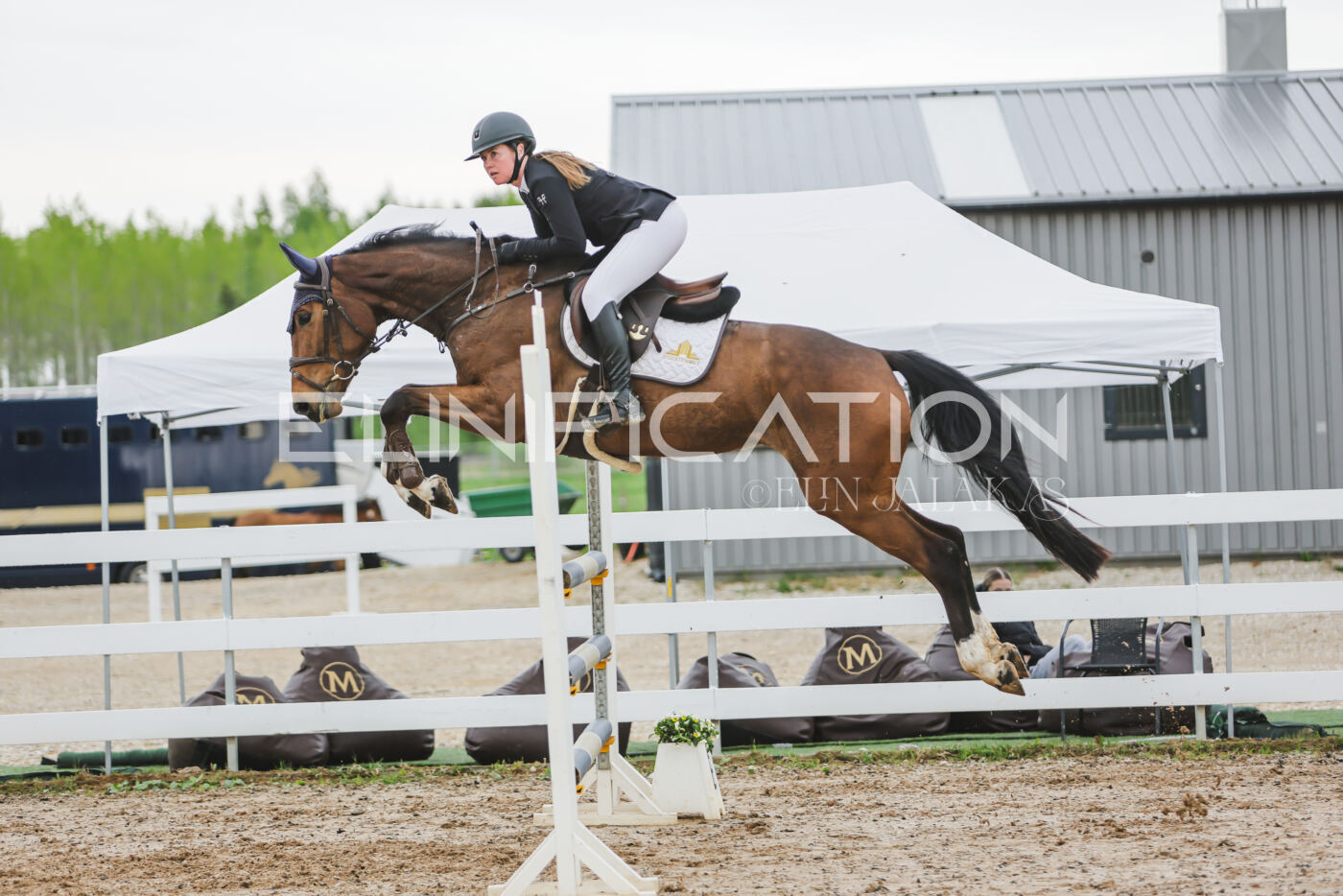 Gramina_Kevad_2026_115_037