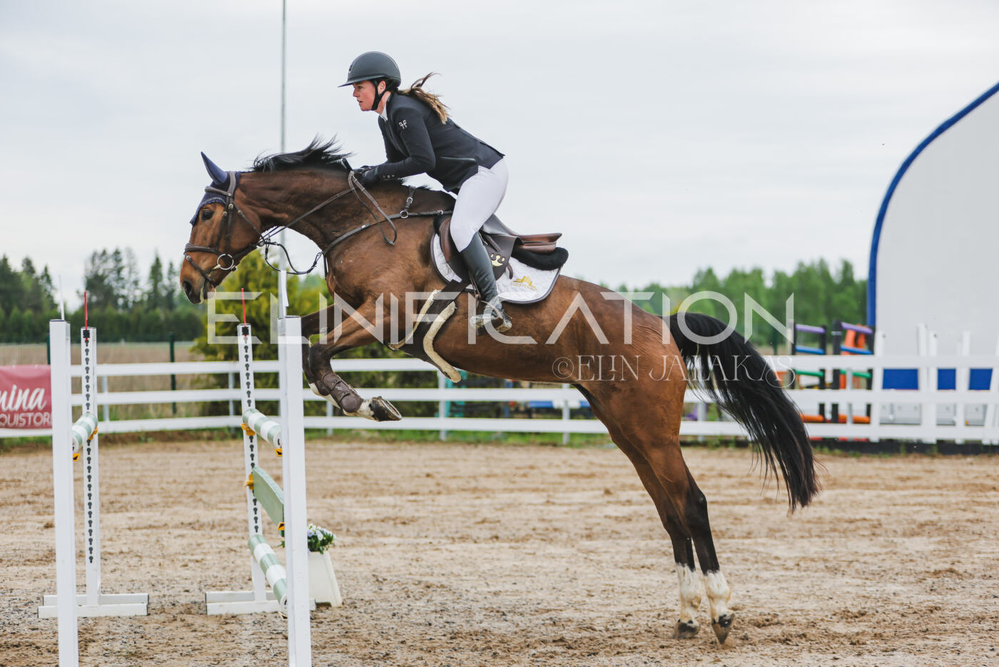Gramina_Kevad_2026_115_040