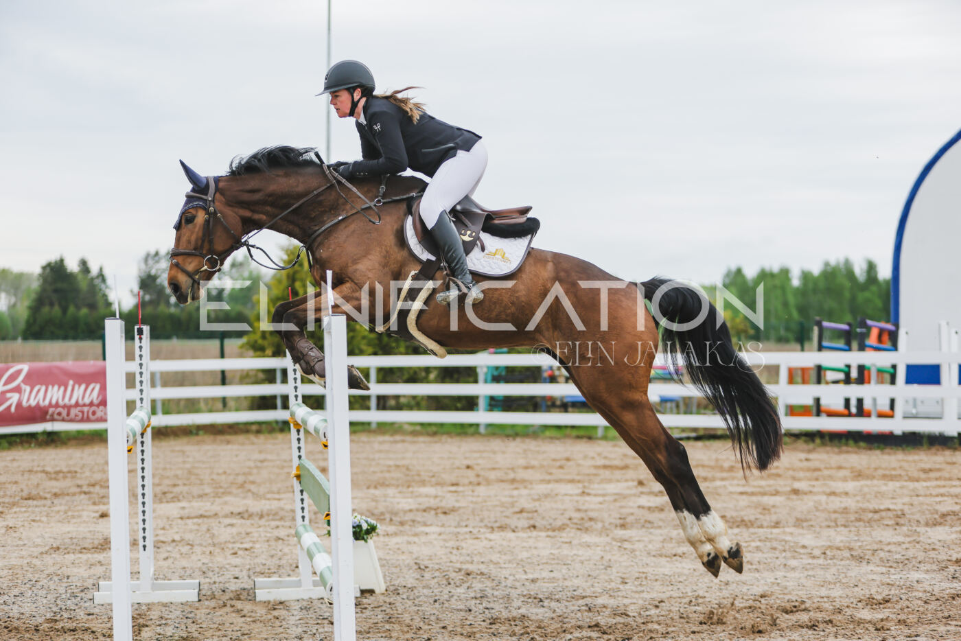 Gramina_Kevad_2026_115_041