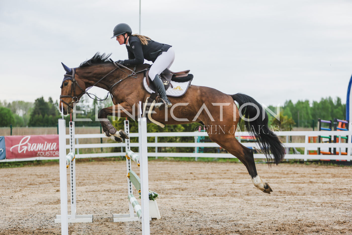 Gramina_Kevad_2026_115_042