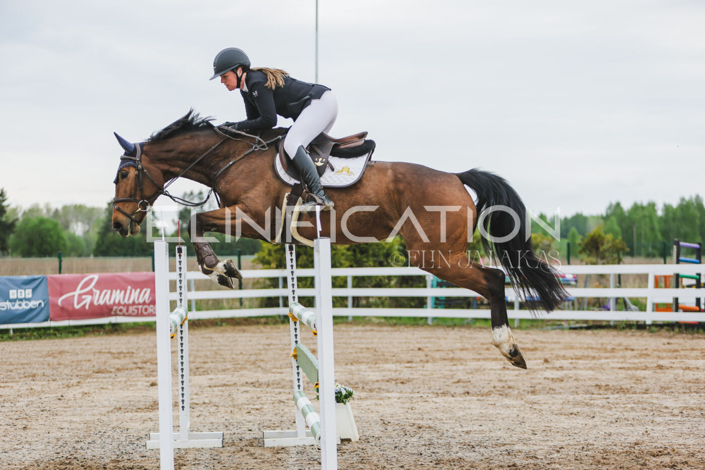 Gramina_Kevad_2026_115_043