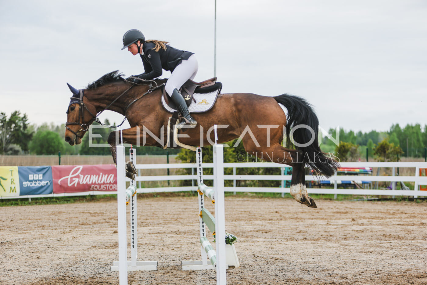 Gramina_Kevad_2026_115_044