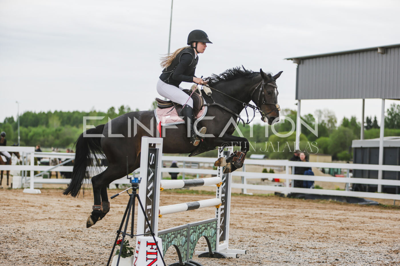 Gramina_Kevad_2026_115_046